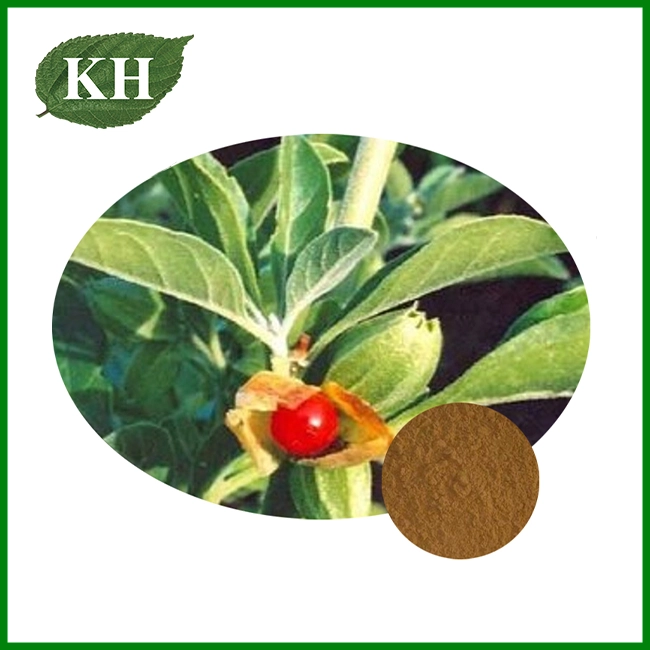 Ashwagandha Root Extract Powder